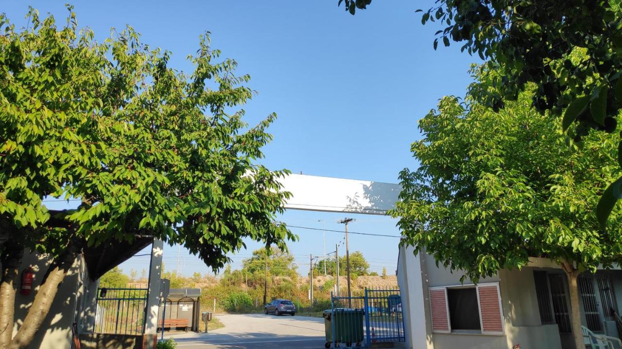 Camping Mitikas And Bungalows Litochoro Eksteriør billede